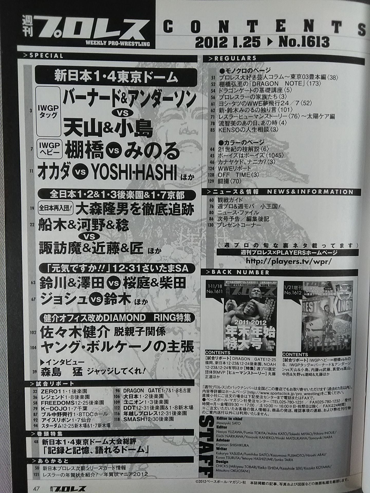 Weekly Pro Wrestling 1613