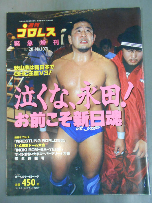 Weekly Pro Wrestling 1071