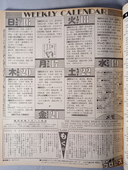 Weekly Pro Wrestling 666