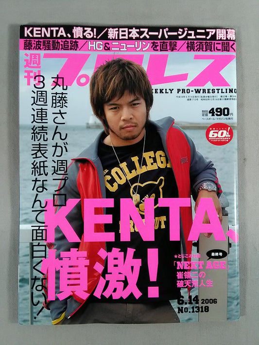 週刊プロレス1318