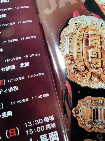 Weekly Pro Wrestling 2000