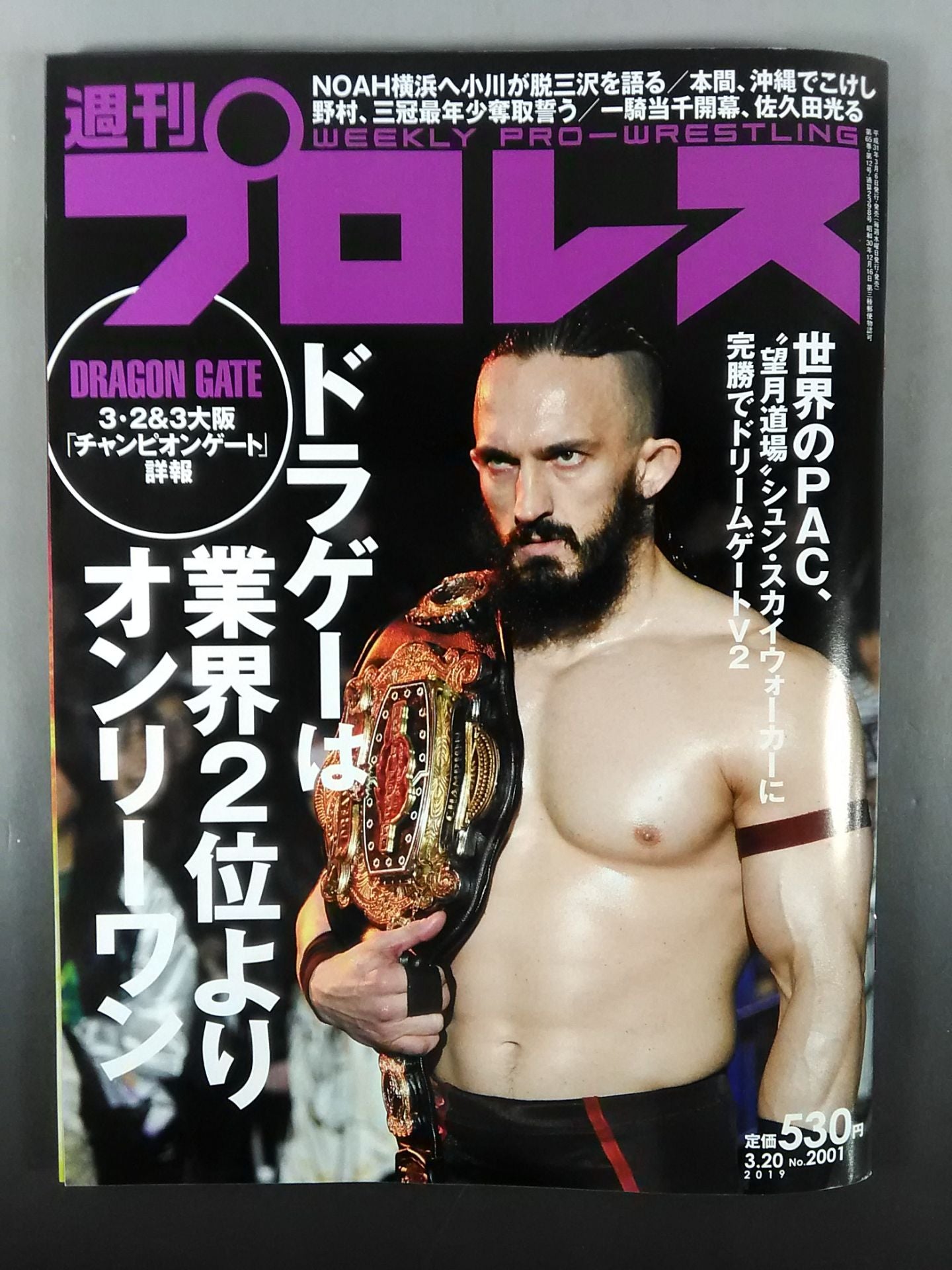 Weekly Pro Wrestling  2001
