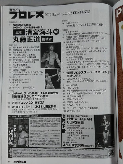 週刊プロレス2002