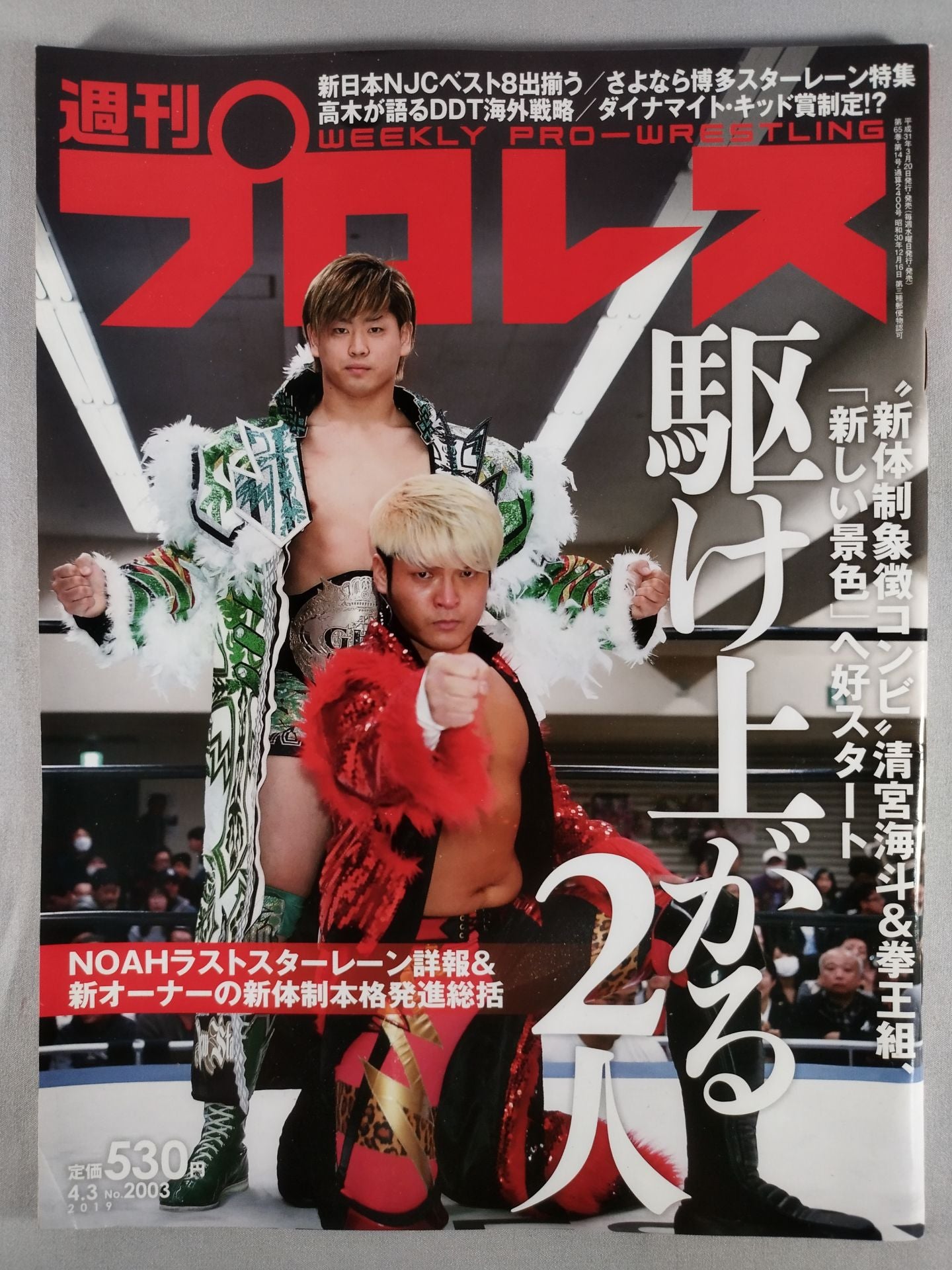 Weekly Pro Wrestling  2003