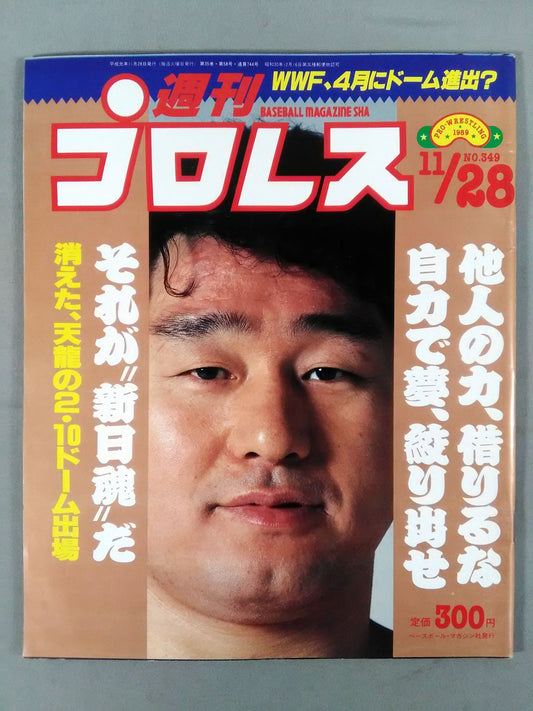 Weekly Pro Wrestling 349