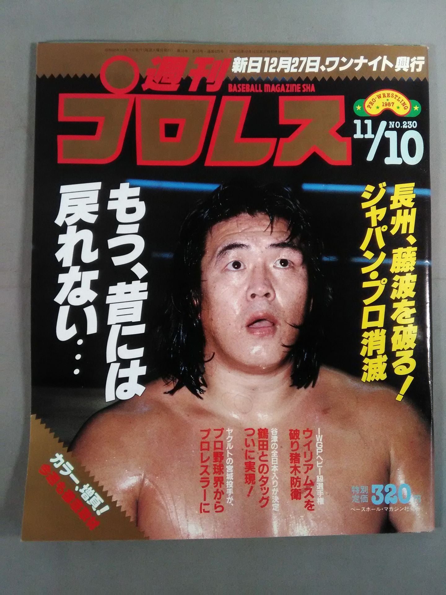 週刊プロレス230