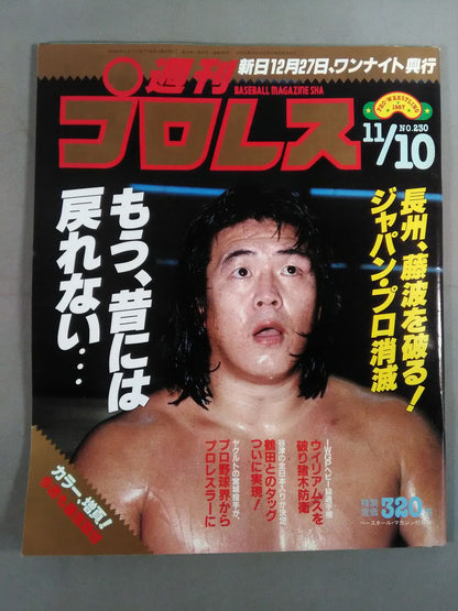 週刊プロレス230