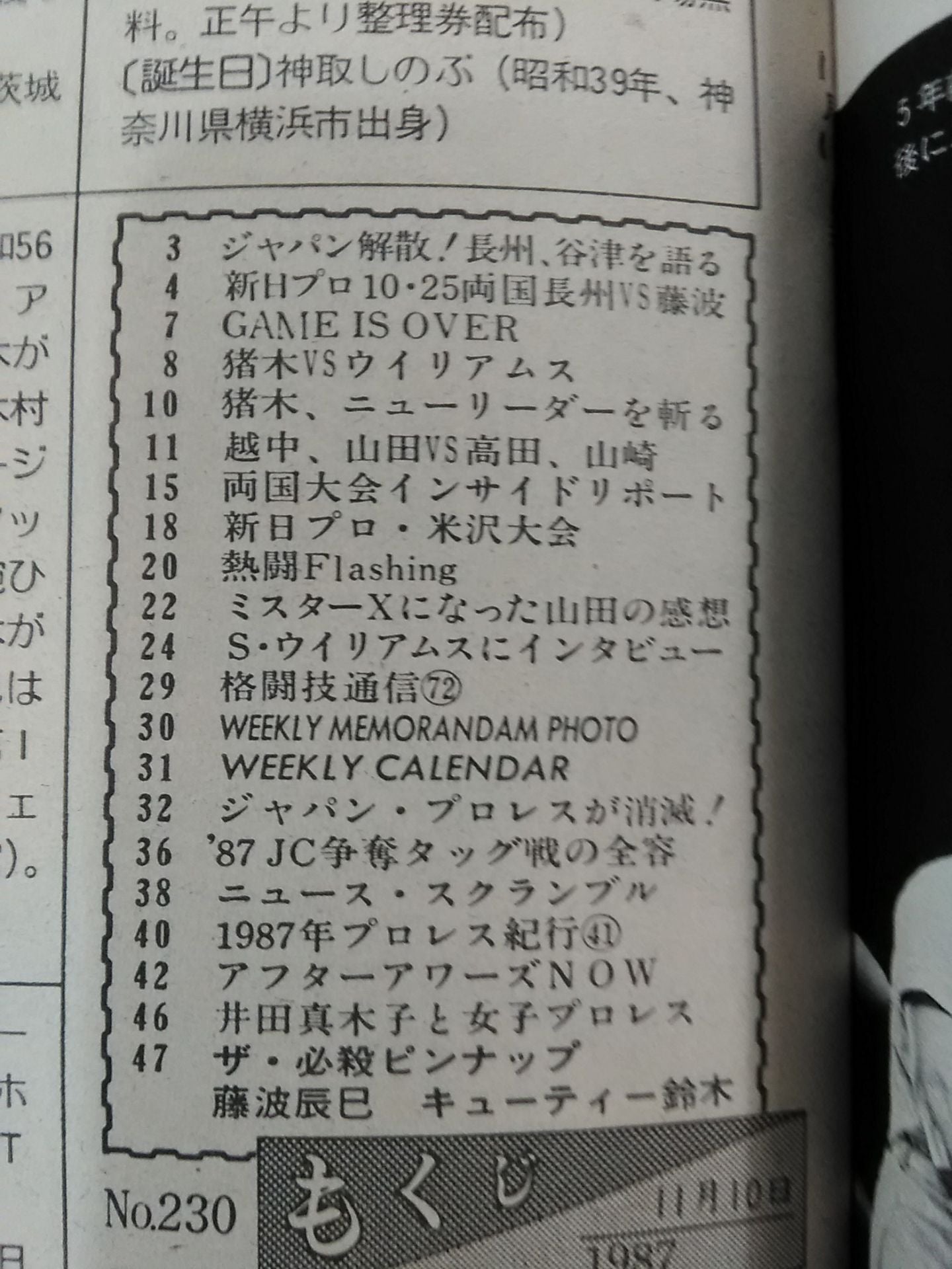 週刊プロレス230