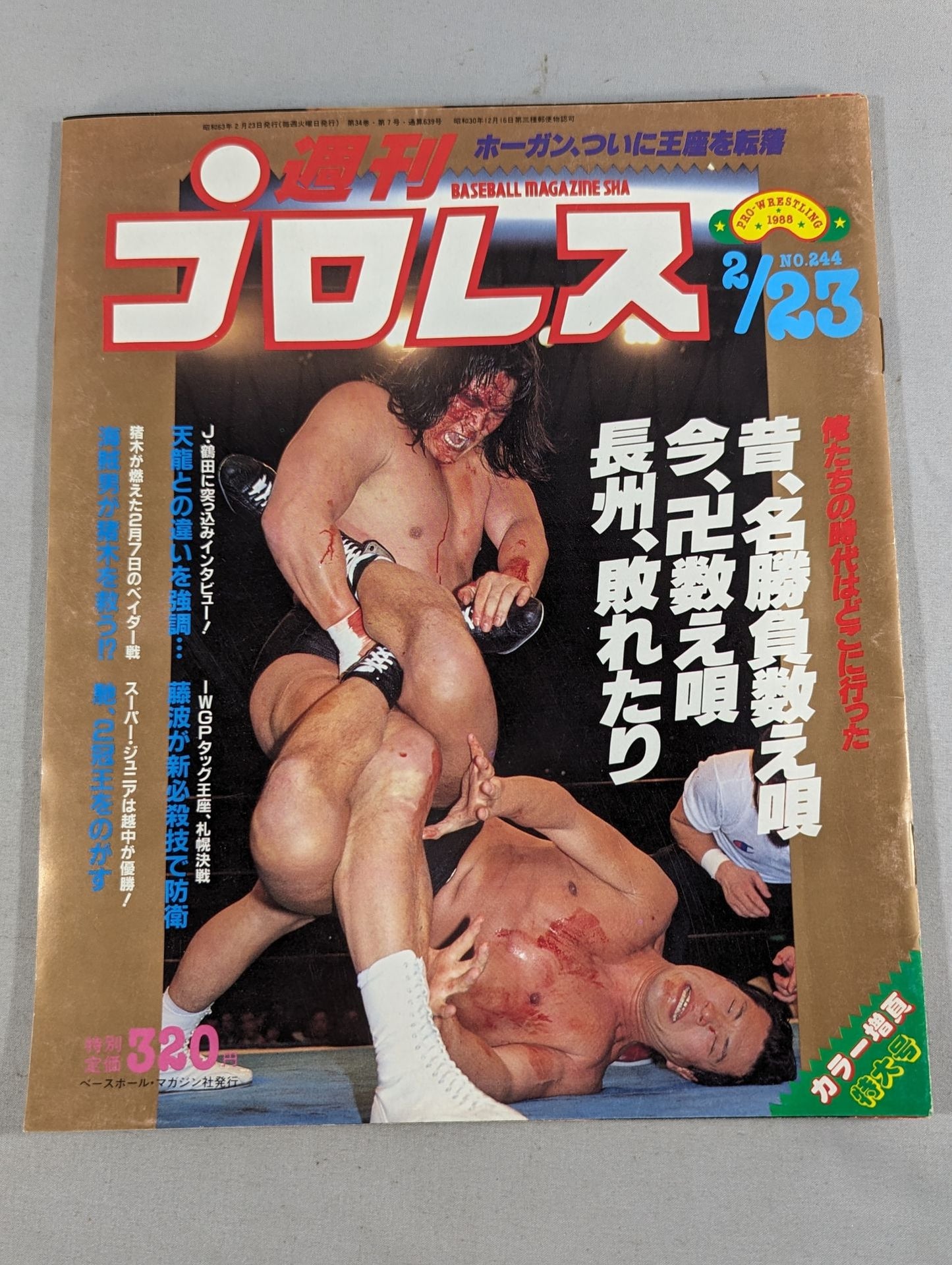 Weekly Pro Wrestling 244