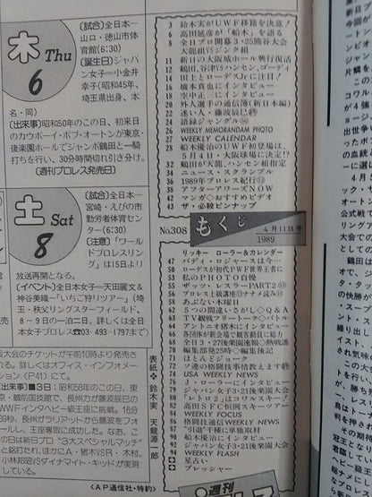 Weekly Pro Wrestling 308