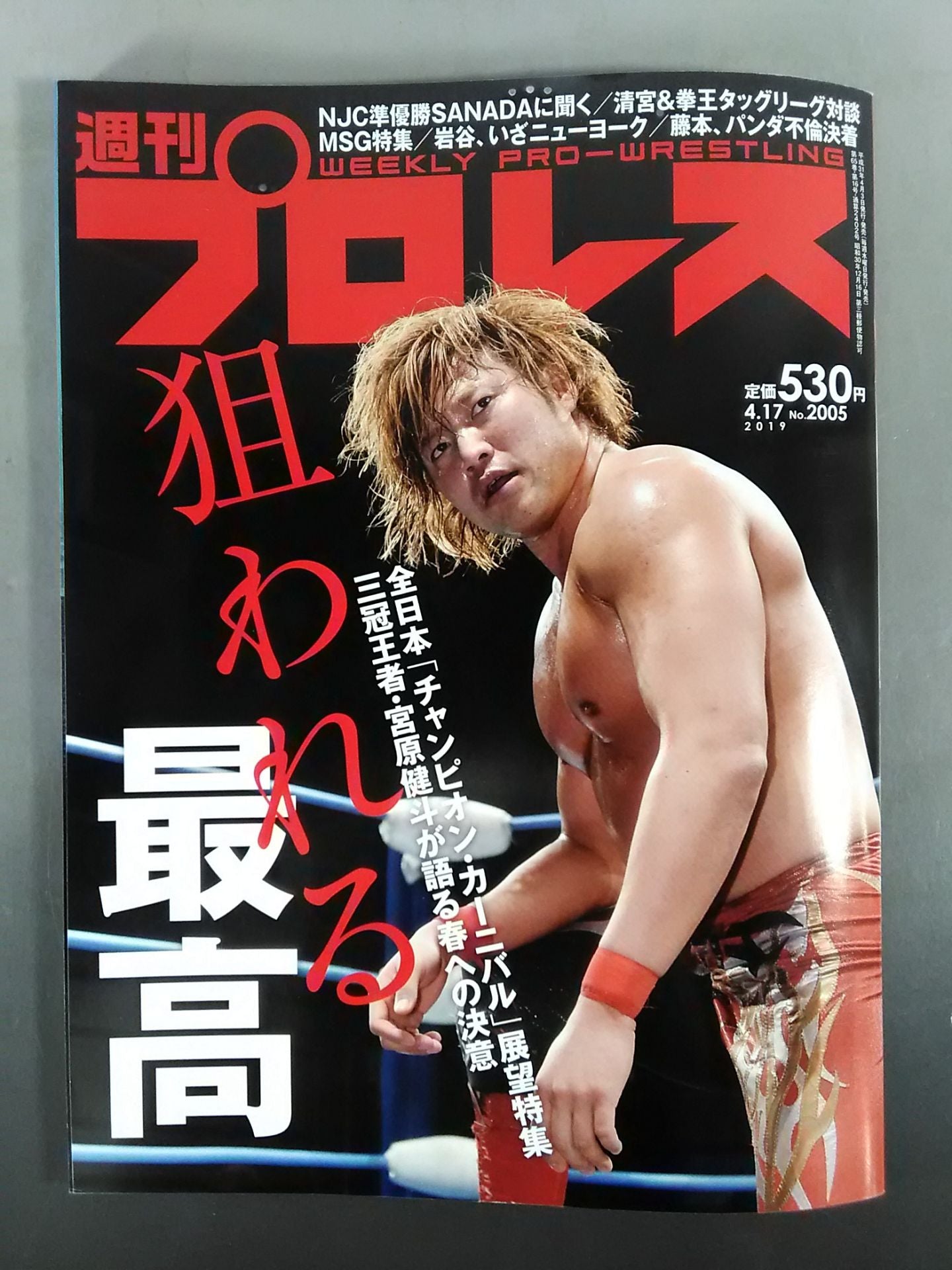 Weekly Pro Wrestling  2005