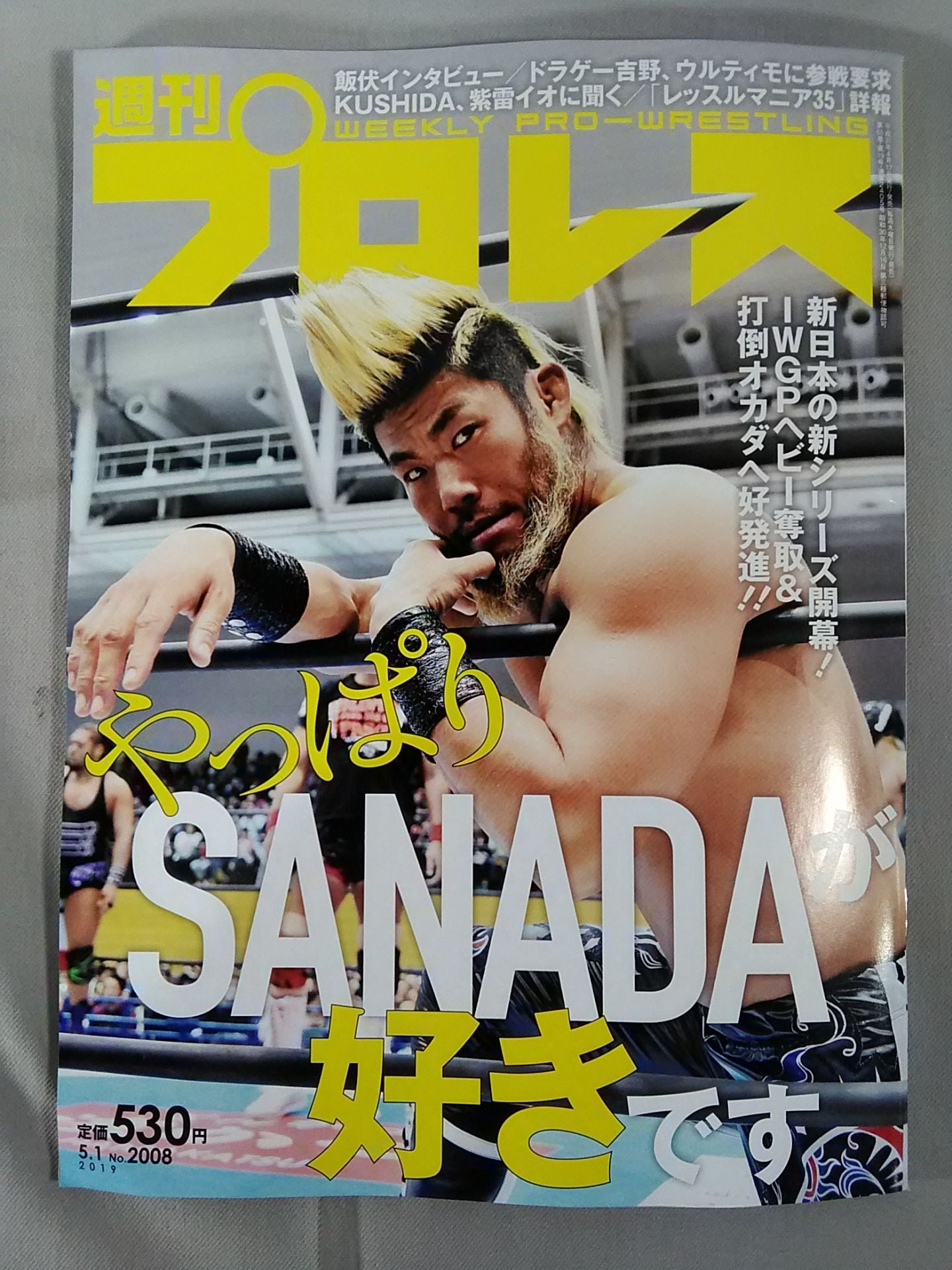 Weekly Pro Wrestling  2008