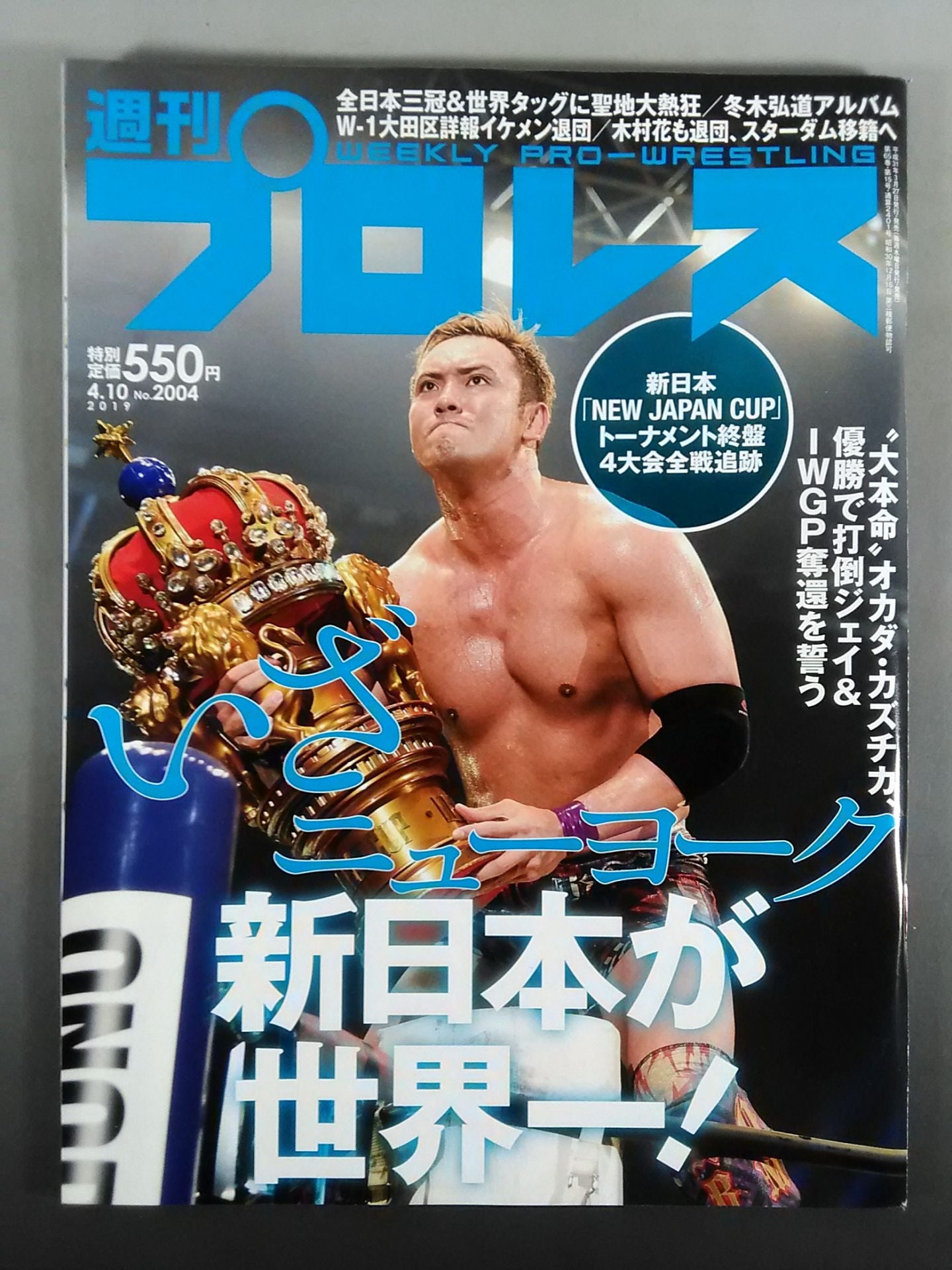 Weekly Pro Wrestling  2004