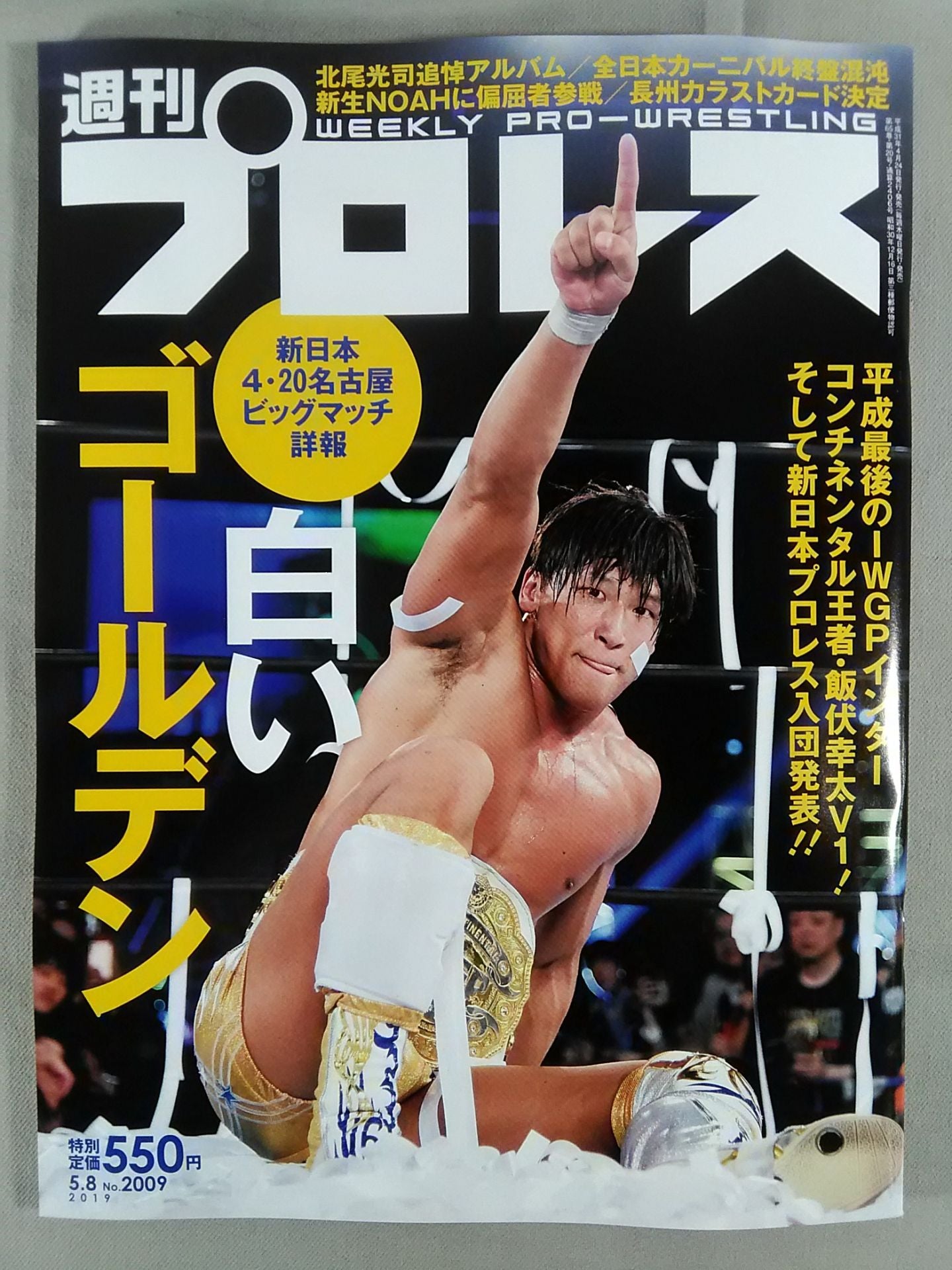 週刊プロレス2009
