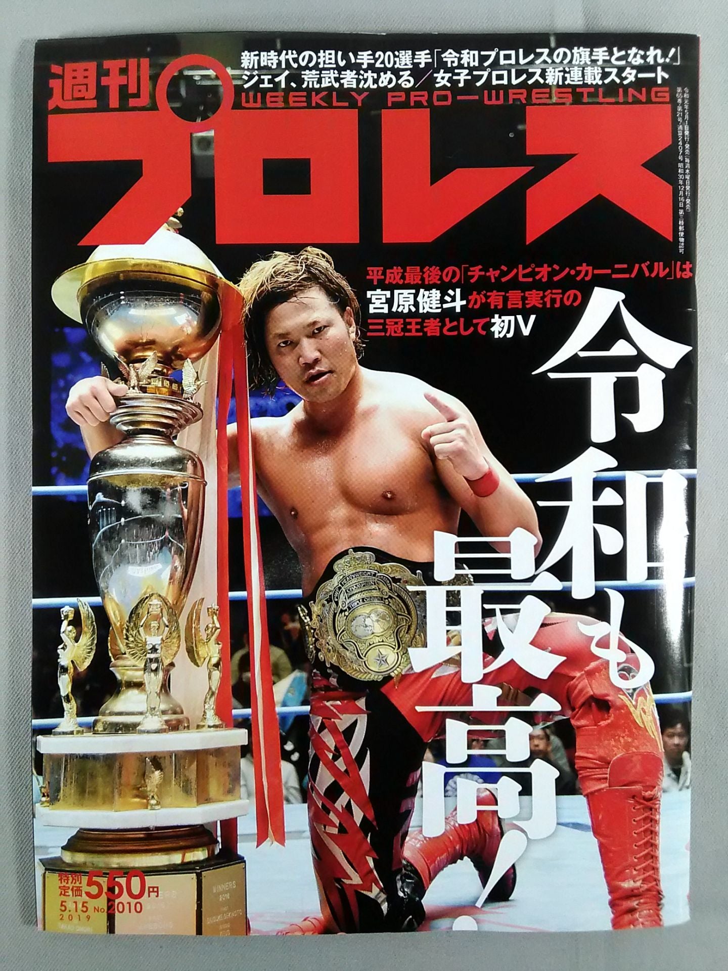 Weekly Pro Wrestling  2010