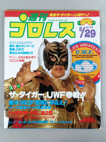 Weekly Pro Wrestling 43