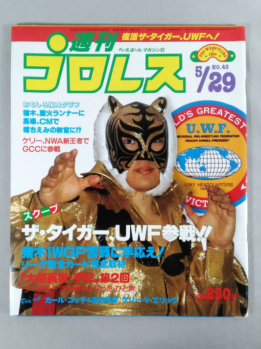 Weekly Pro Wrestling 43