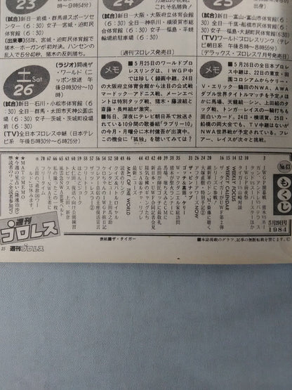 Weekly Pro Wrestling 43