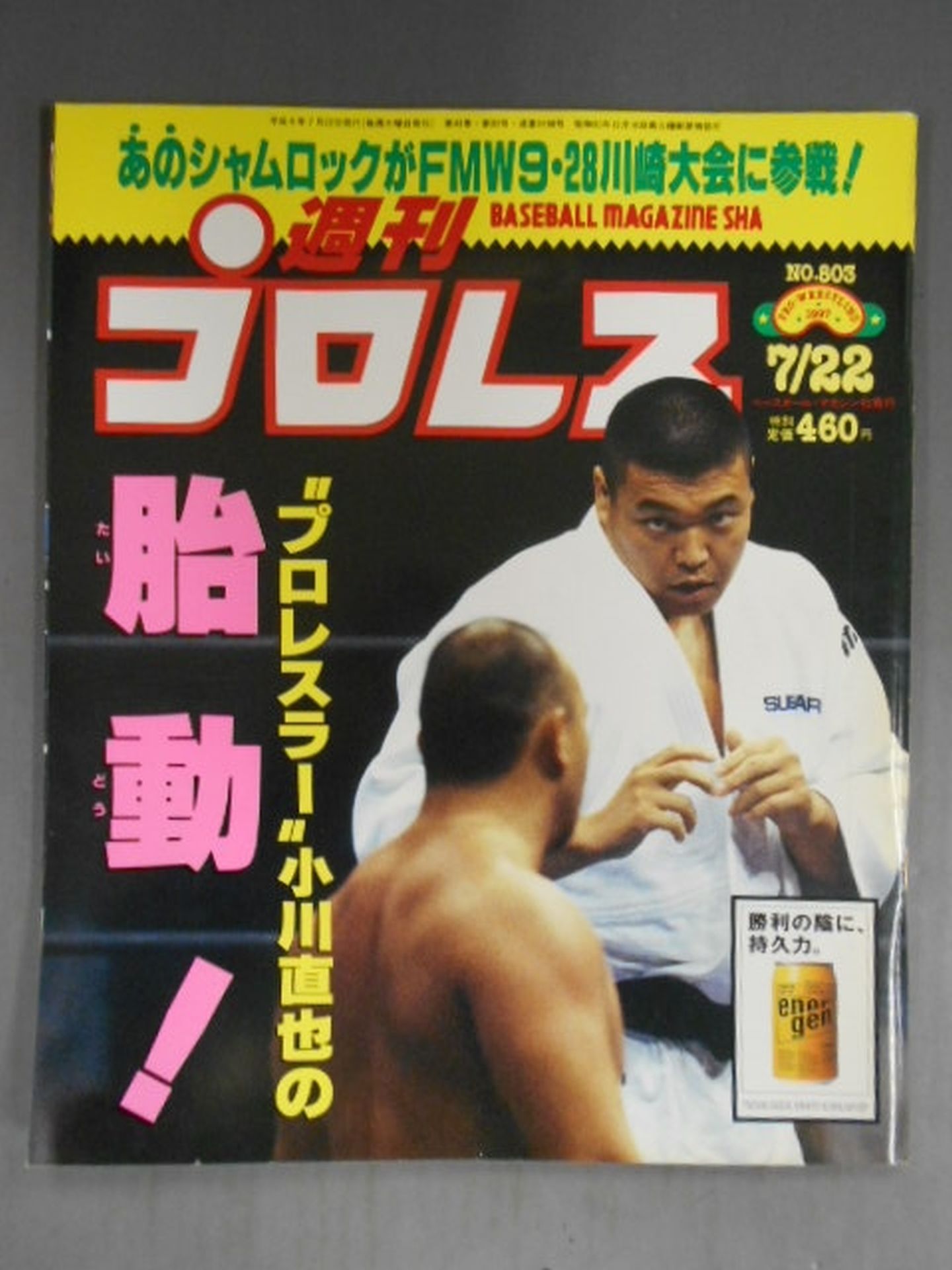 週刊プロレス803