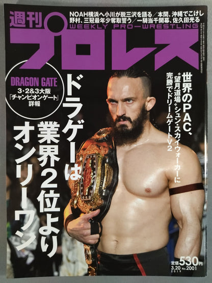 Weekly Pro Wrestling  2001