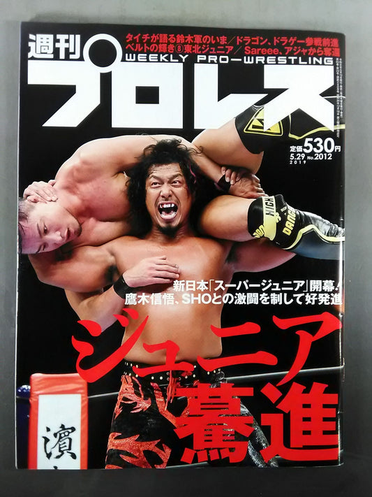 Weekly Pro Wrestling  2012