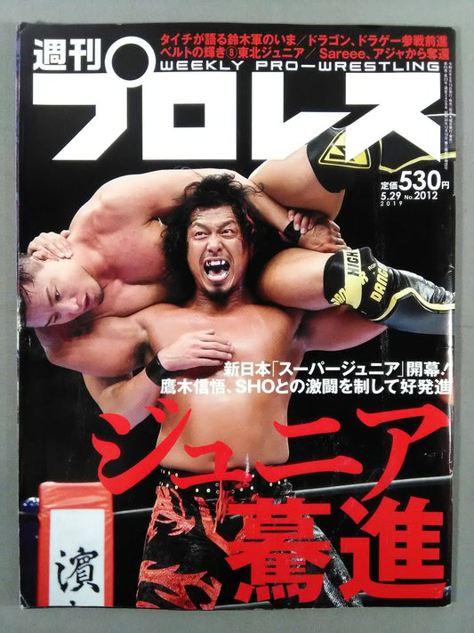 週刊プロレス2012