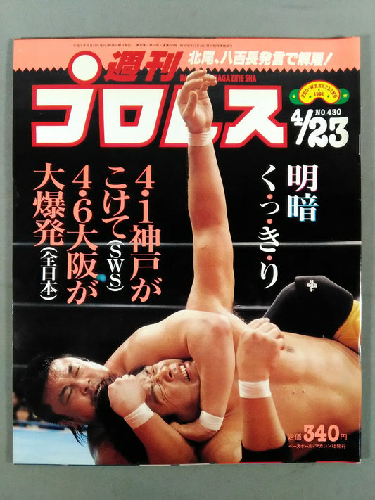 Weekly Pro Wrestling 430