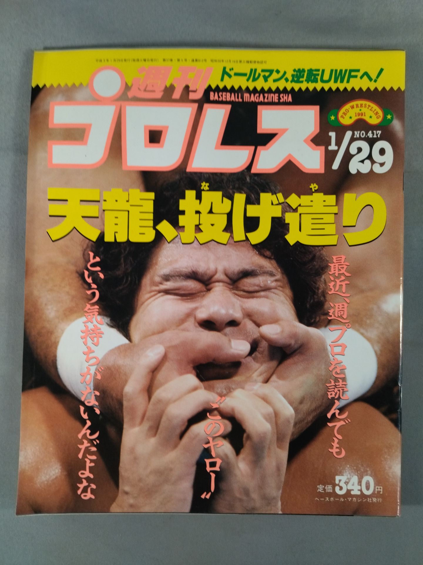 週刊プロレス417