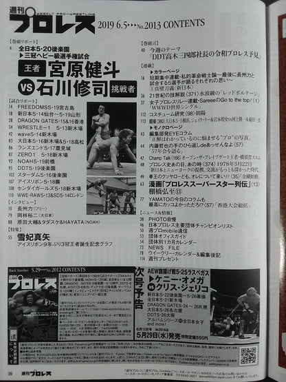 週刊プロレス2013