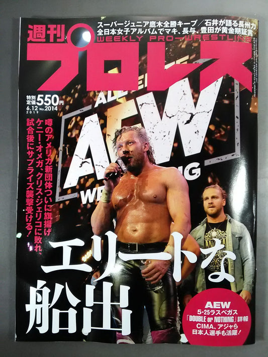 週刊プロレス2014