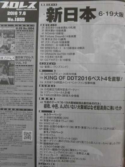 Weekly Pro Wrestling 1855