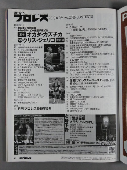 週刊プロレス2016