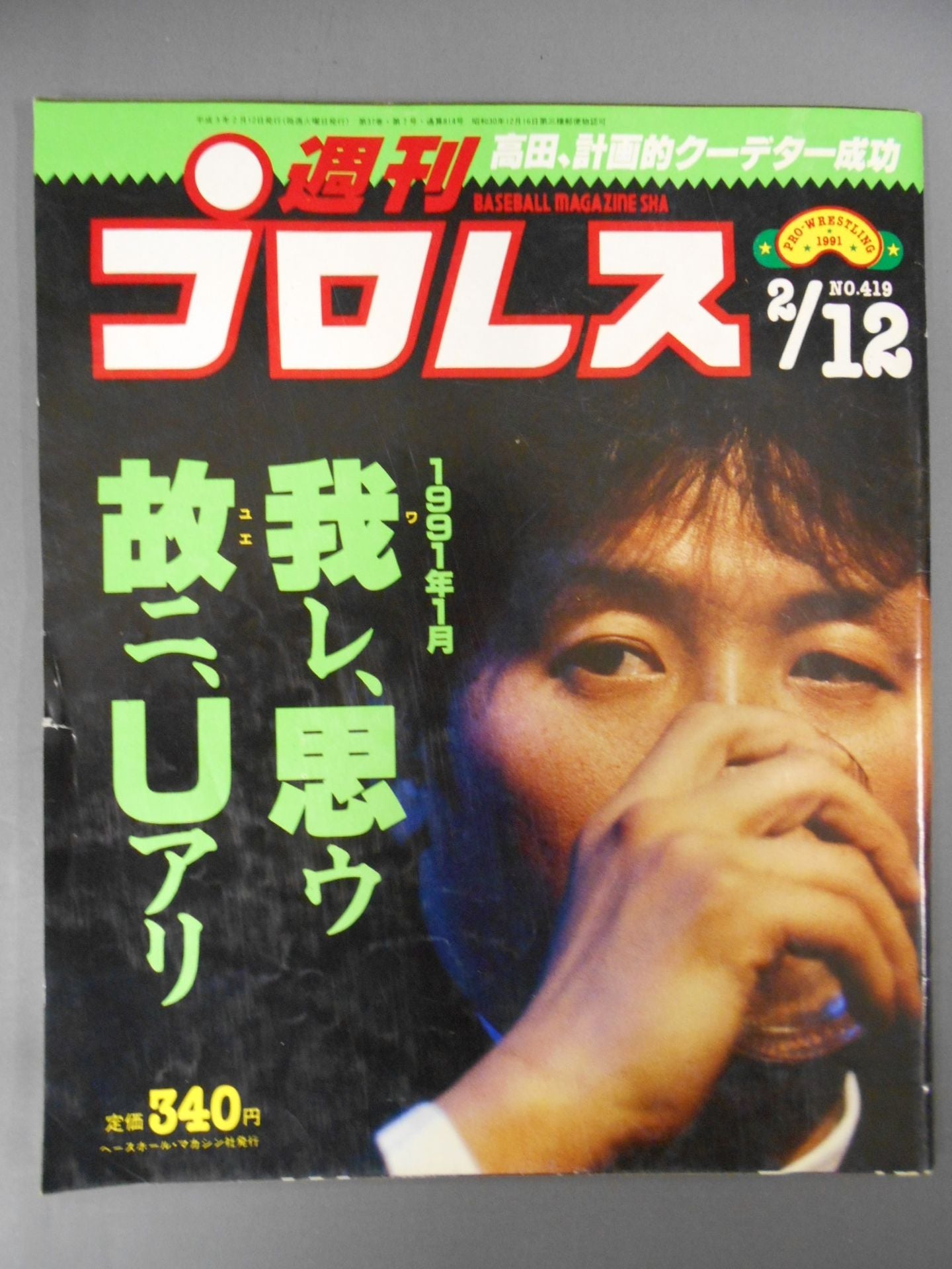 Weekly Pro Wrestling 419