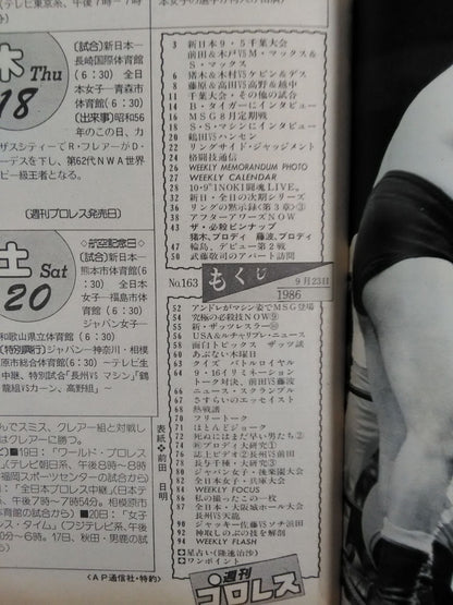 週刊プロレス163