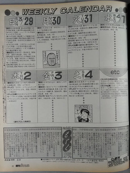 Weekly Pro Wrestling 846