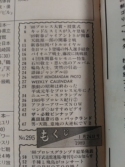 Weekly Pro Wrestling 295