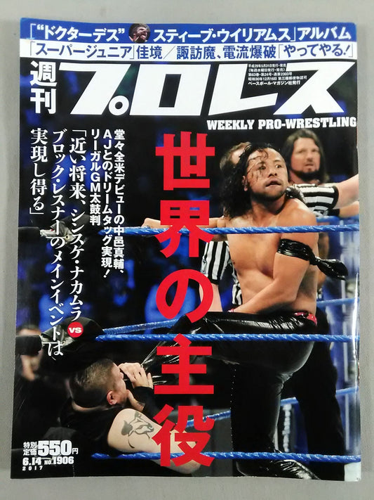 Weekly Pro Wrestling 1906
