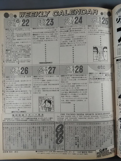 週刊プロレス800
