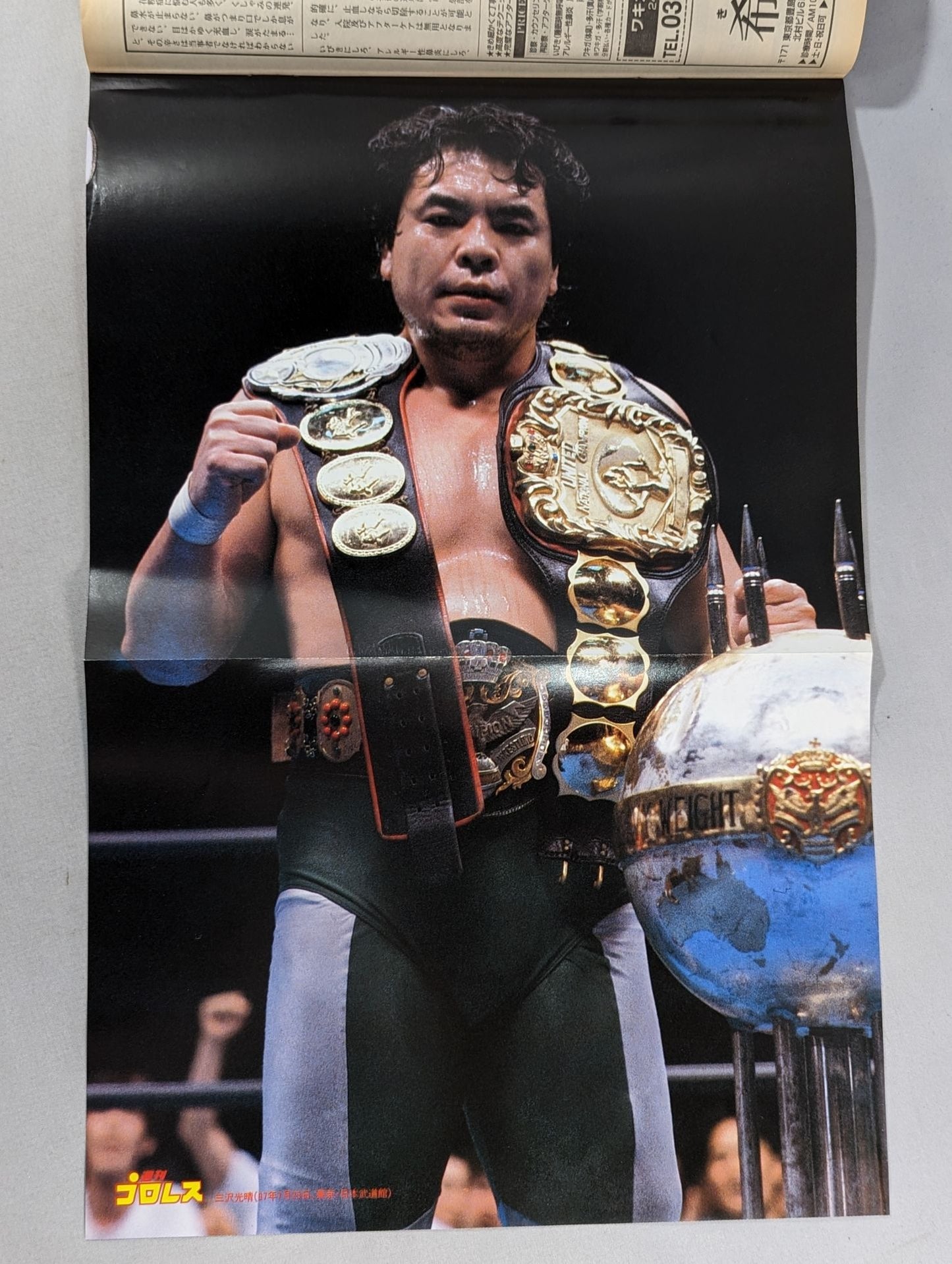 Weekly Pro Wrestling 808