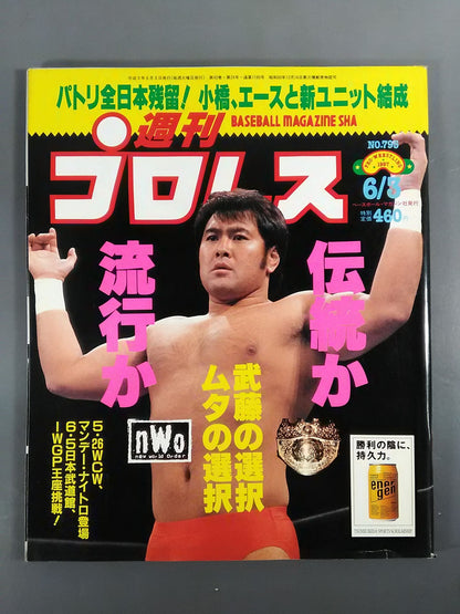 Weekly Pro Wrestling 795