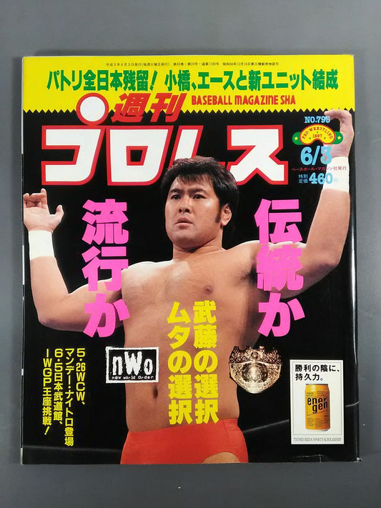 Weekly Pro Wrestling 795
