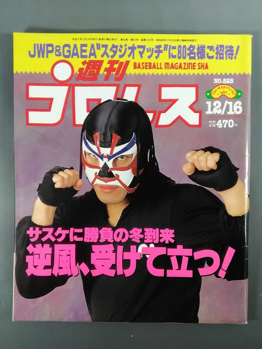 Weekly Pro Wrestling 828