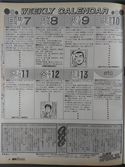 Weekly Pro Wrestling 828