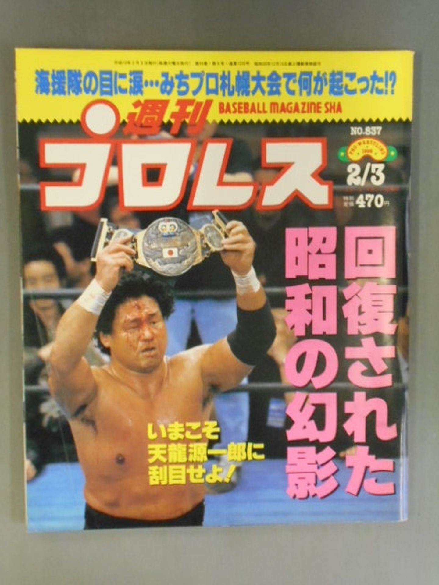Weekly Pro Wrestling 837