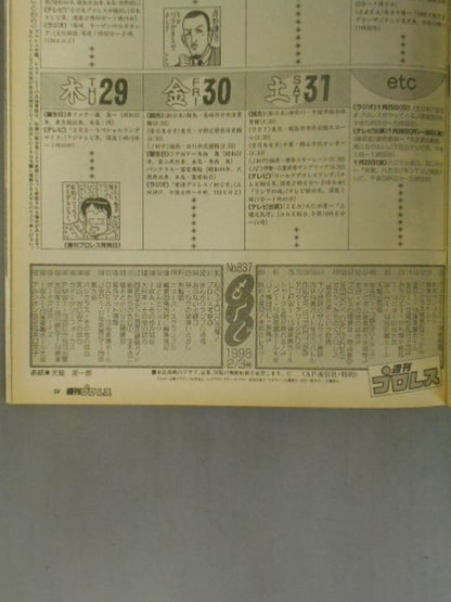 Weekly Pro Wrestling 837
