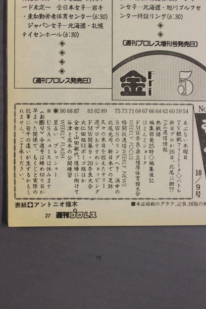 週刊プロレス399