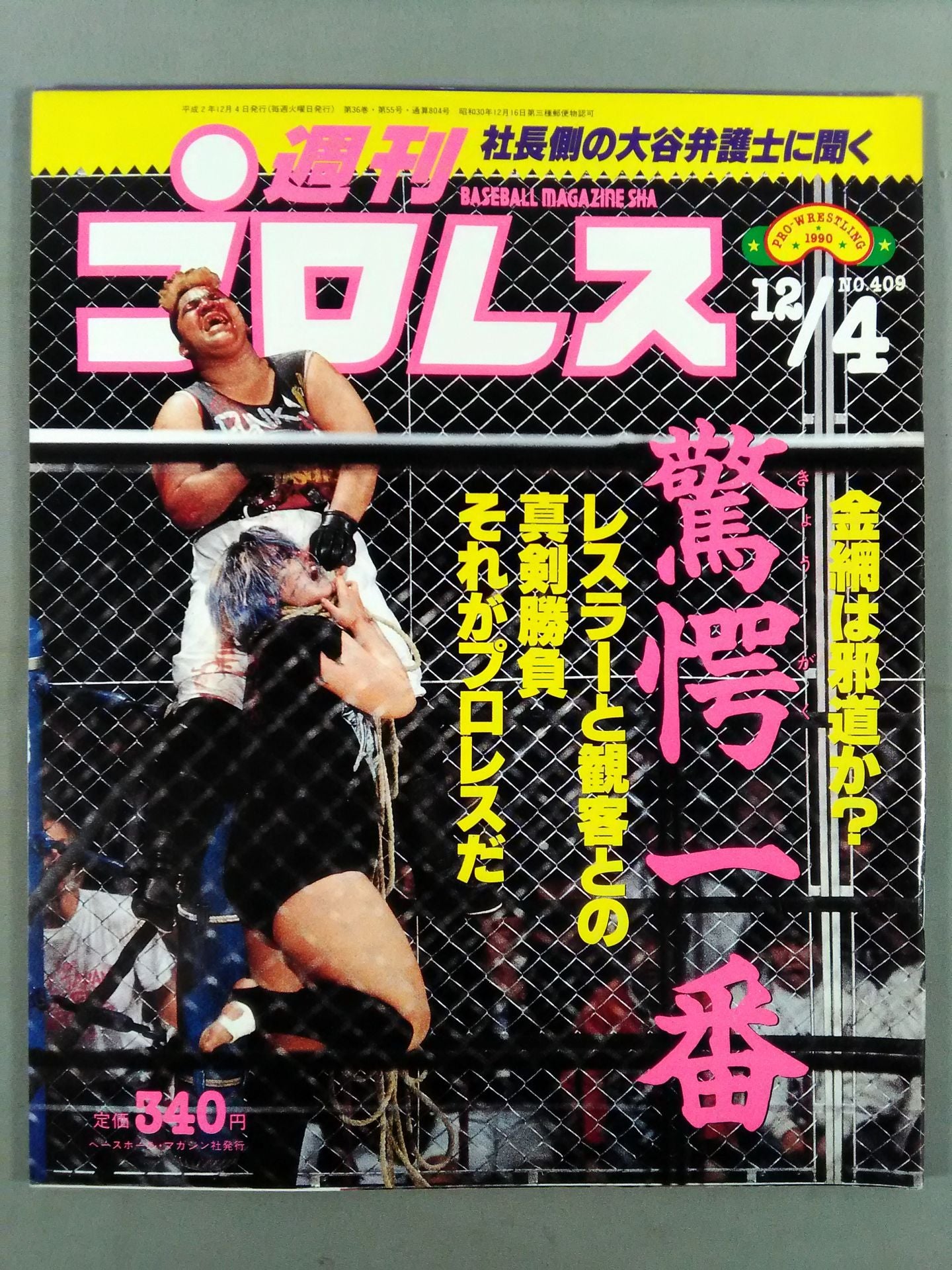 Weekly Pro Wrestling 409