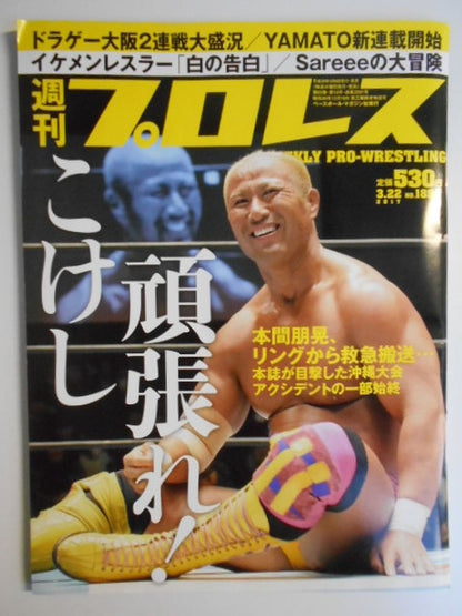 Weekly Pro Wrestling 1894