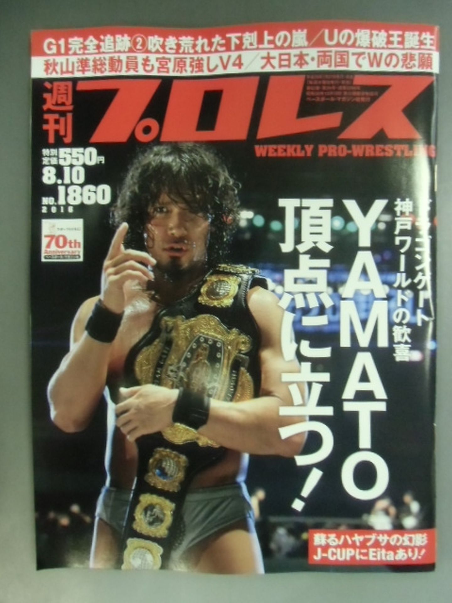 Weekly Pro Wrestling 1860