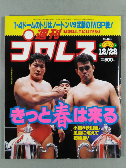 Weekly Pro Wrestling 891